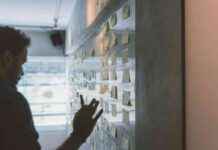 Strategies for Influencing Policymakers: Tips for Skills and Training Providers news-12082024-172218