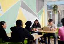 Expand Your Horizons: College Courses Open to All GCSE Students news-22082024-043410