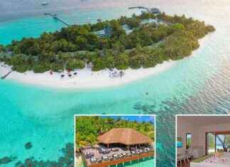 Luxury Maldives Holiday: Free Massages & Unlimited Booze news-26082024-120357