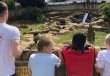 Intervention Needed: Addressing Record-High School Suspensions news-03092024-004950