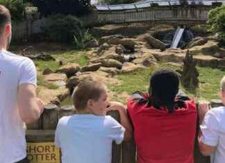 Intervention Needed: Addressing Record-High School Suspensions news-03092024-004950