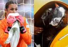 Mary Earps reveals odd requests as profile soars | Goal.com Saudi Arabia news-04092024-005612