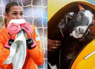 Mary Earps reveals odd requests as profile soars | Goal.com Saudi Arabia news-04092024-005612