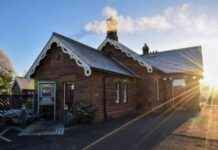 The Most Desirable Role in Marketing: What Is It? news-10092024-123131