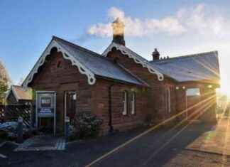 The Most Desirable Role in Marketing: What Is It? news-10092024-123131