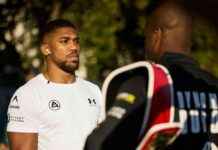 Joshua vs Dubois Fight: Date, Time, Undercard, Odds & Ring Walks news-20092024-080537