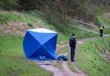 Identify a Mysterious Woman: Uncover Her Identity and Story news-21092024-120801