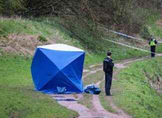 Identify a Mysterious Woman: Uncover Her Identity and Story news-21092024-120801