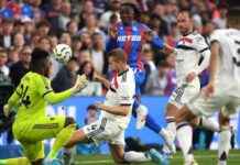 Manchester United Player Ratings: Onana shines in Crystal Palace clash news-21092024-213057