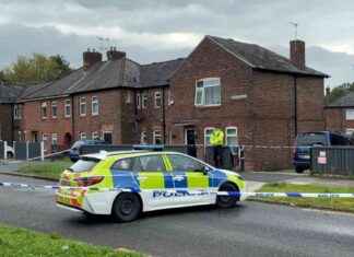 Support Services for Tragic Mother and Child: Ensuring Adequate Assistance news-24092024-204503