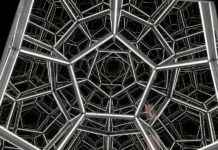 Discover the Enchanting Museum of Illusions in Manchester – Mancunian Matters news-28092024-115804