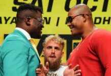 Ngannou vs Ferreira Fight: TV Channel and Live Stream Info news-19102024-164052