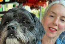 Discovery of Deceased Body in Search for Missing Woman in Forest news-27102024-121654