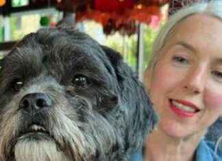 Discovery of Deceased Body in Search for Missing Woman in Forest news-27102024-121654