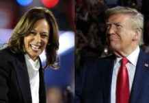 US Election 2024: Hour-by-Hour UK Results Timeline and Guide news-05112024-221034