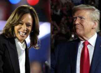 US Election 2024: Hour-by-Hour UK Results Timeline and Guide news-05112024-221034