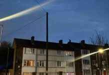 Man Surrenders to Police After 8-Hour Standoff man-surrenders-to-police-after-8-hour-standoff