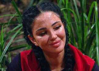 Ant and Dec’s Monday Announcement Leaves I’m A Celebrity Fans in Disbelief news-03122024-034525