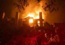 Uncovering the Factors Behind the ‘Perfect Storm’ of LA Wildfires uncovering-the-factors-behind-the-perfect-storm-of-la-wildfires