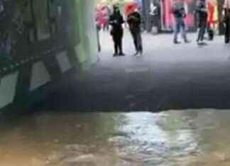 Toxicator Ride at Alton Towers Evacuated on First Day toxicator-ride-at-alton-towers-evacuated-on-first-day