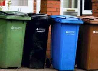 Stockport Council’s Garden Waste Service: What Goes in Green Bins stockport-councils-garden-waste-service-what-goes-in-green-bins