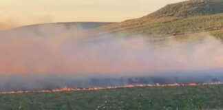 Update on Huge Moor Fire Near Greater Manchester update-on-huge-moor-fire-near-greater-manchester