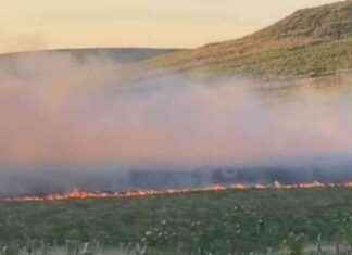 Update on Huge Moor Fire Near Greater Manchester update-on-huge-moor-fire-near-greater-manchester