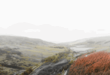 Manchester United F.C. Vs Nottingham Forest Lineups: Who Will Dominate?