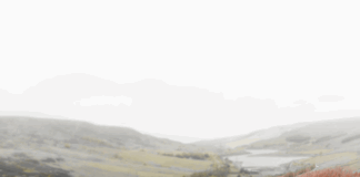 Manchester United F.C. Vs Nottingham Forest Lineups: Who Will Dominate?