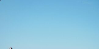 Brighton & Hove Albion F.C. Vs Manchester United F.C. Timeline: Epic Match Moments Revealed!