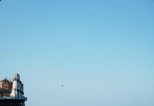 Manchester United F.C. Vs Brighton & Hove Albion F.C. Stats: Revealed Insights