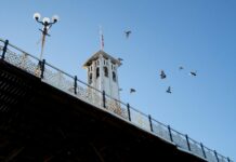 Manchester United F.C. Vs Brighton & Hove Albion F.C. Timeline: Key Moments Revealed