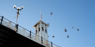 Brighton & Hove Albion F.C. Vs Manchester United F.C. Stats Revealed