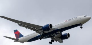 Delta Flight DL275 Diverted LAX: How Delta’s Customer Support Goes Above and Beyond Delta Airlines, Delta Flight DL275, Flight DL275, Flight Diversions, Travel News, Airline Policies, LAX Diversion, Delta Flight DL275 Diverted LAX